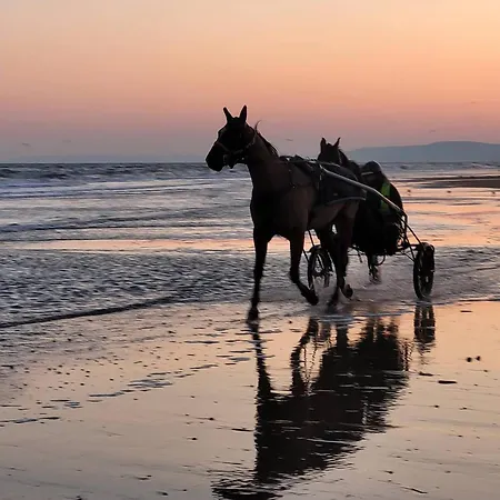 Apartamento Familial A 250m Du Golf Et De La Plage, Parking Inclus - - Fr-1-788-16 *