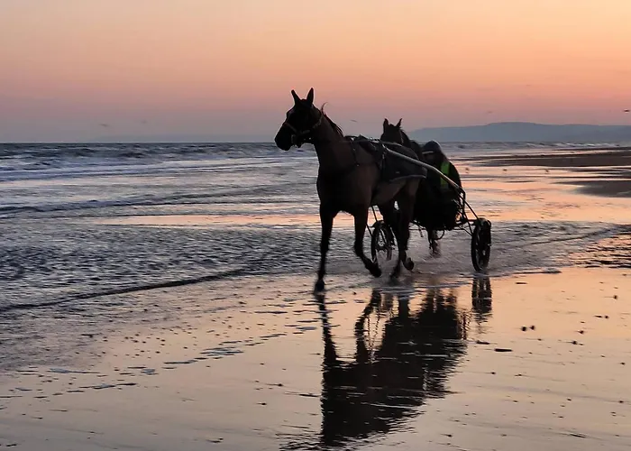 Apartament Familial A 250m Du Golf Et De La Plage, Parking Inclus - - Fr-1-788-16 *